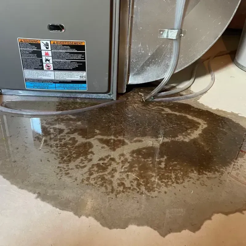 Appliance Leak Cleanup in Mission Hills, KS